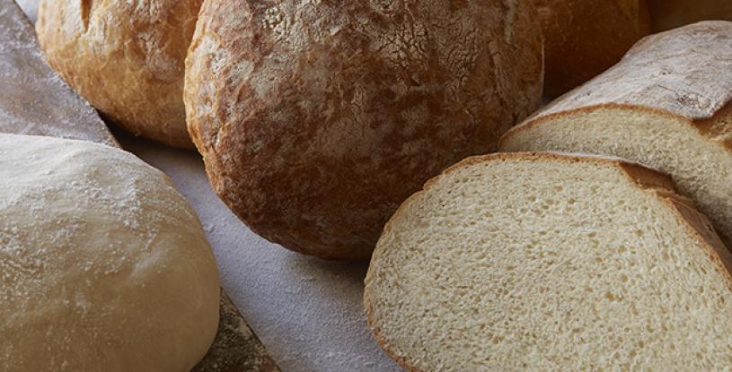 Bread Array for Keto