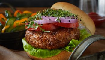 Textured Wheat Protein Veggie Burger