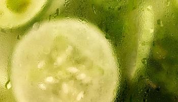 Distilled Cucumber Gin - Perfect Summer Spirit