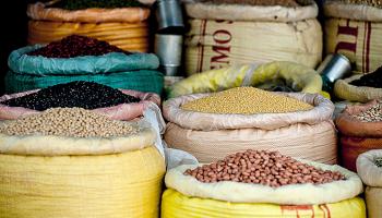 Positives of plant-based diets