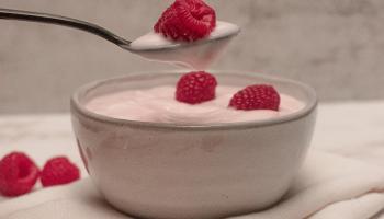 Gut Health Yogurt