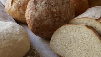 Bread Array for Keto