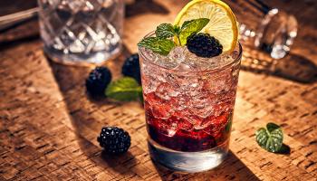 Blackberry and Mint Gin Cocktail