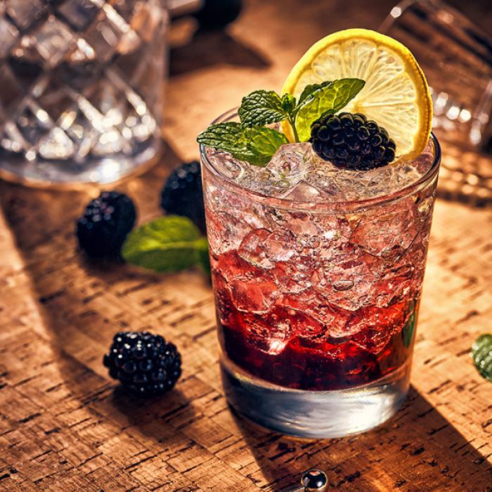 Blackberry and Mint Gin Cocktail